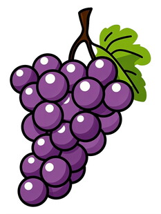 一串紫葡萄插画