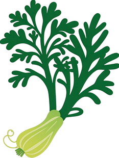 卡通风格的绿色蔬菜插画