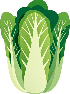 卡通白菜形象