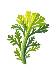 绿色清新风植物插画