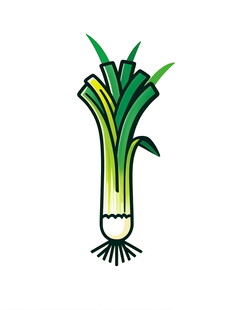 卡通大葱插画