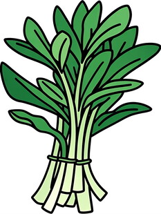 一捆新鲜的绿叶蔬菜