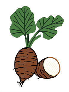 卡通形象的萝卜插画