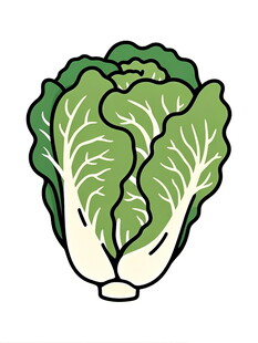卡通白菜插画