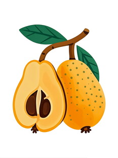 手绘梨子一个完整一个切开
