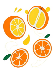 新鲜橙子切片插画
