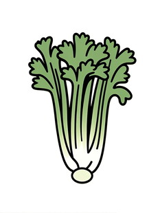手绘芹菜图案