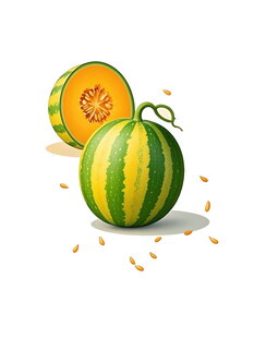 新鲜甜瓜插画瓜籽散落