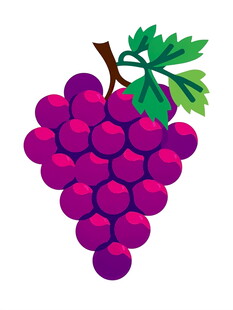 一串紫葡萄插画