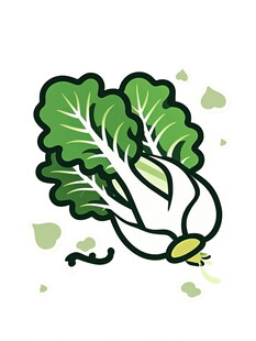 卡通白菜插画