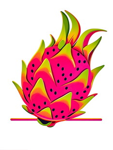 鲜艳火龙果插画