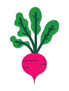 可爱粉色萝卜插画