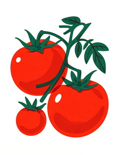 新鲜番茄插画图