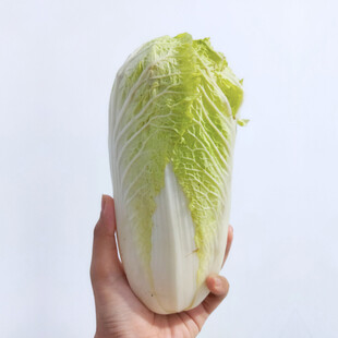 大白菜