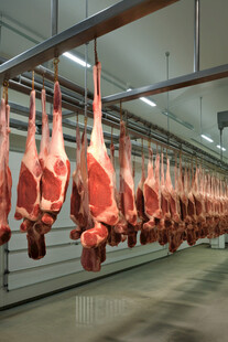 肉类加工厂悬挂的新鲜肉品