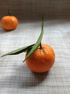新鲜橘子