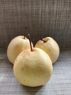 黄梨