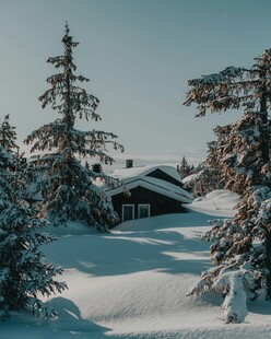 雪覆林间小屋的冬日美景