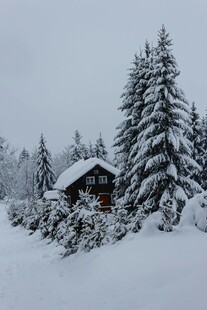 雪覆小屋与松景