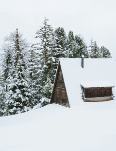 雪覆木屋旁的葱郁松林