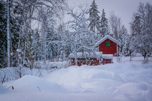 雪林中的红色小屋