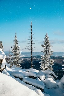 雪覆山林的冬日美景