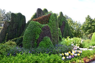 公园风景  