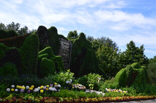 公园风景 