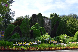 公园风景  
