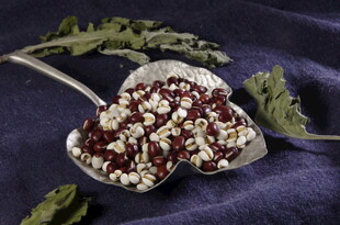 银勺中的赤小豆与薏仁