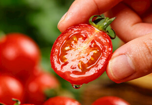 手拿切开的圣女果