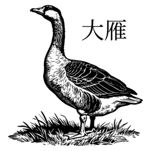 站立的大雁插画