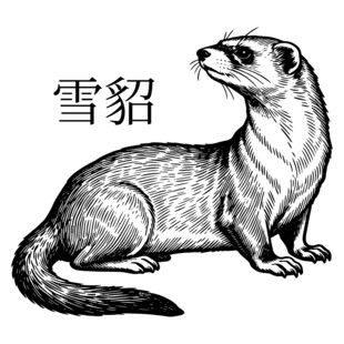 雪貂插画