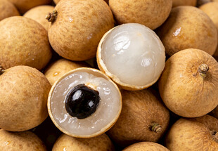 新鲜饱满的龙眼果实