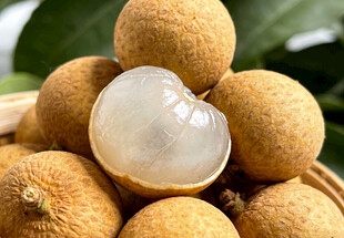 新鲜剥开的龙眼