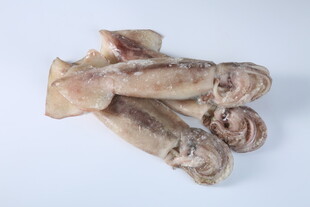 鱿鱼