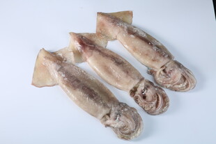 鲜鱿鱼