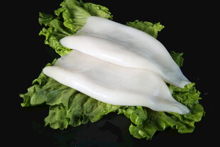 鱿鱼
