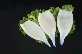 鱿鱼