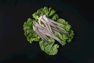 鱿鱼须
