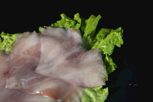 鱿鱼