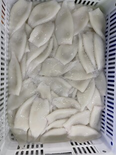 鱿鱼 
