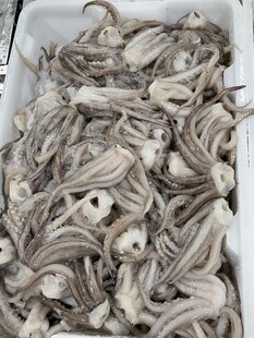 鲜鱿鱼须