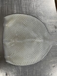 鱿鱼 
