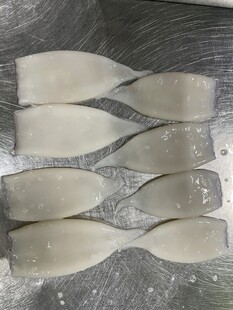 鱿鱼 