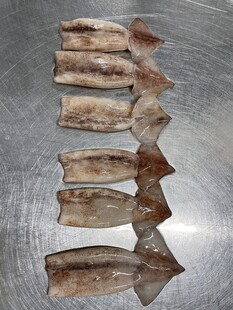 鱿鱼 