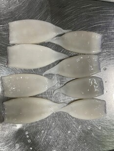 鱿鱼