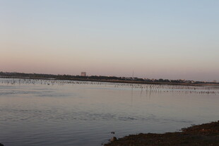 黄昏下的宁静河畔