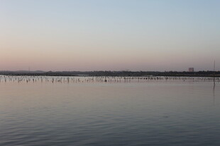 黄昏下平静的广阔水域