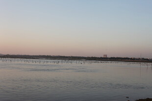 黄昏下的平静水面